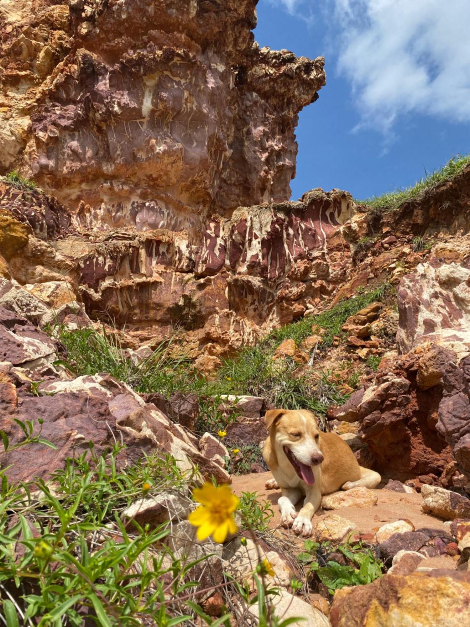 Aloha Pansiyon Icapuí Dış mekan fotoğraf
